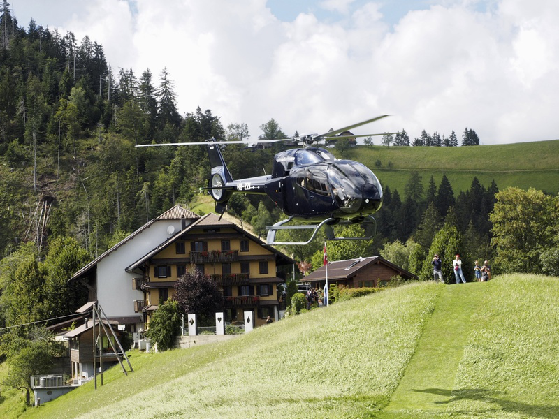 Soaring over Alpine peaks